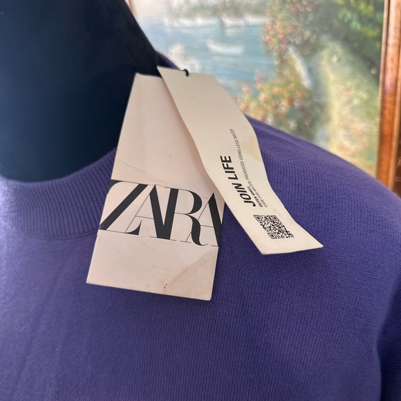 Zara Color-Block Blue and Tan Short Sleeve Tee - Picture 4 of 5